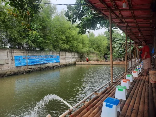 AF Fishing99 (Pemancingan Harian Campur Bawal Lele)