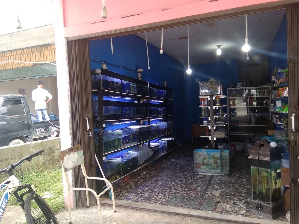 Aquarium 99 Rumbai - 2