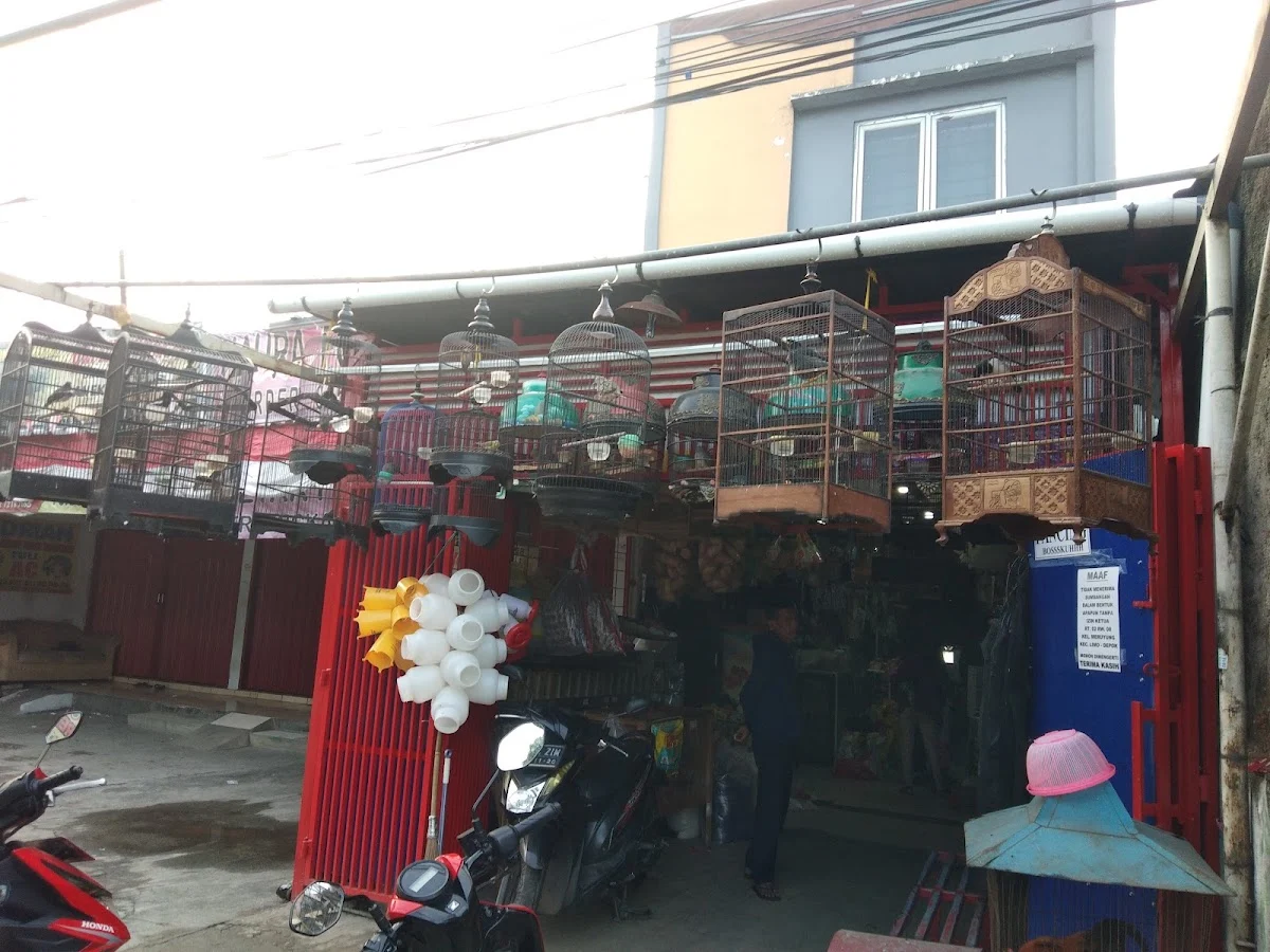 Bagus Jaya Mandiri ( Pet shop, Alat Pancing, kios burung Pakan Ternak dll)
