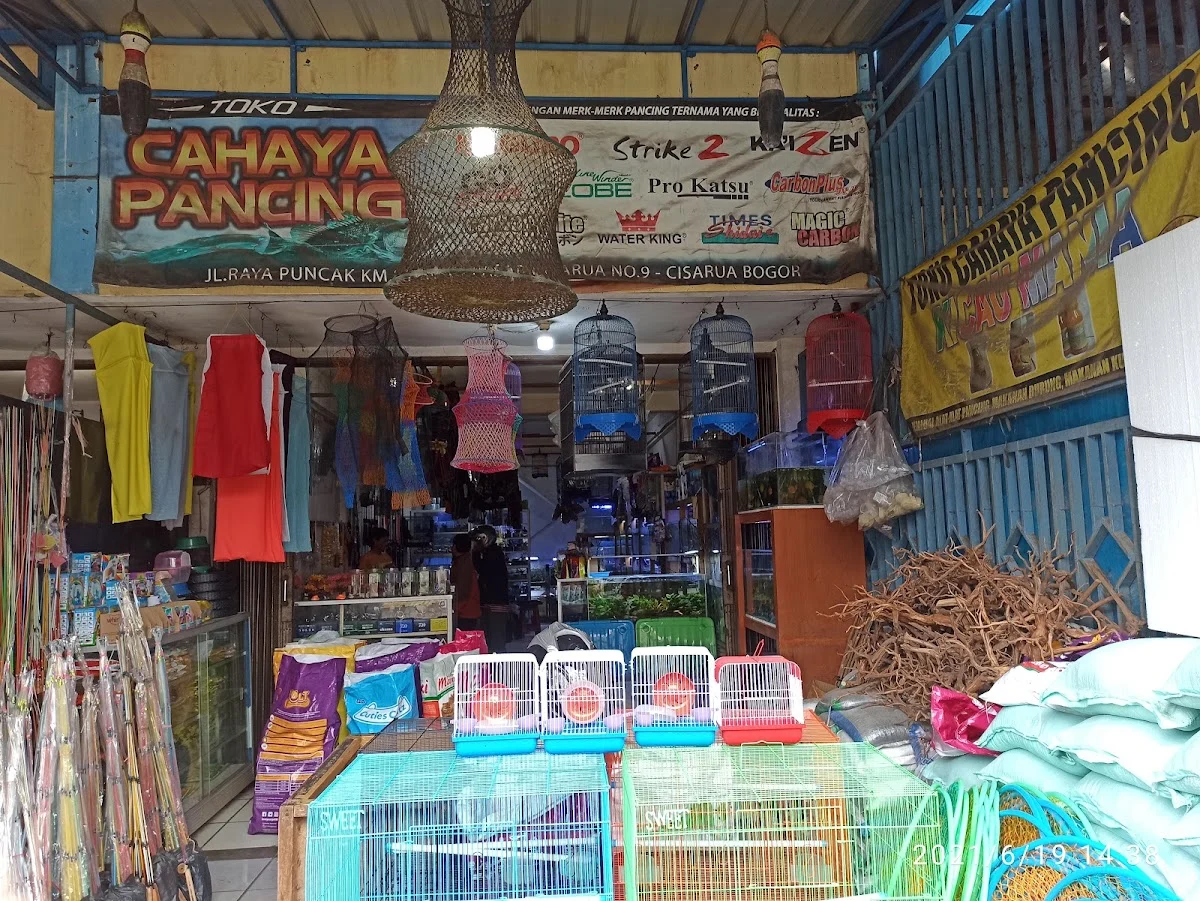 Cahaya Pancing - 2