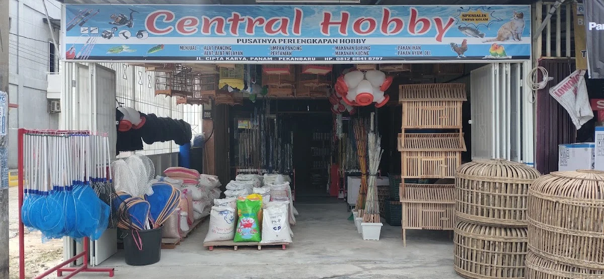 Central Hobby