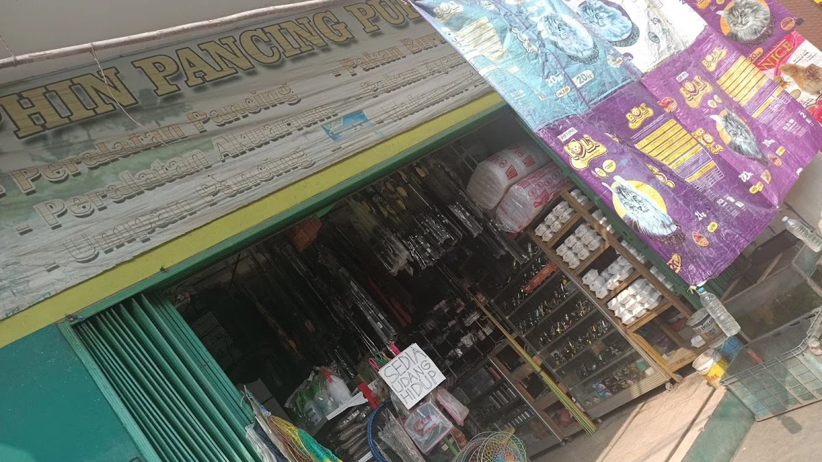 Dolphin Pancing Purati
