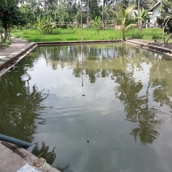 Kolam pancing H.ABD.KARIM