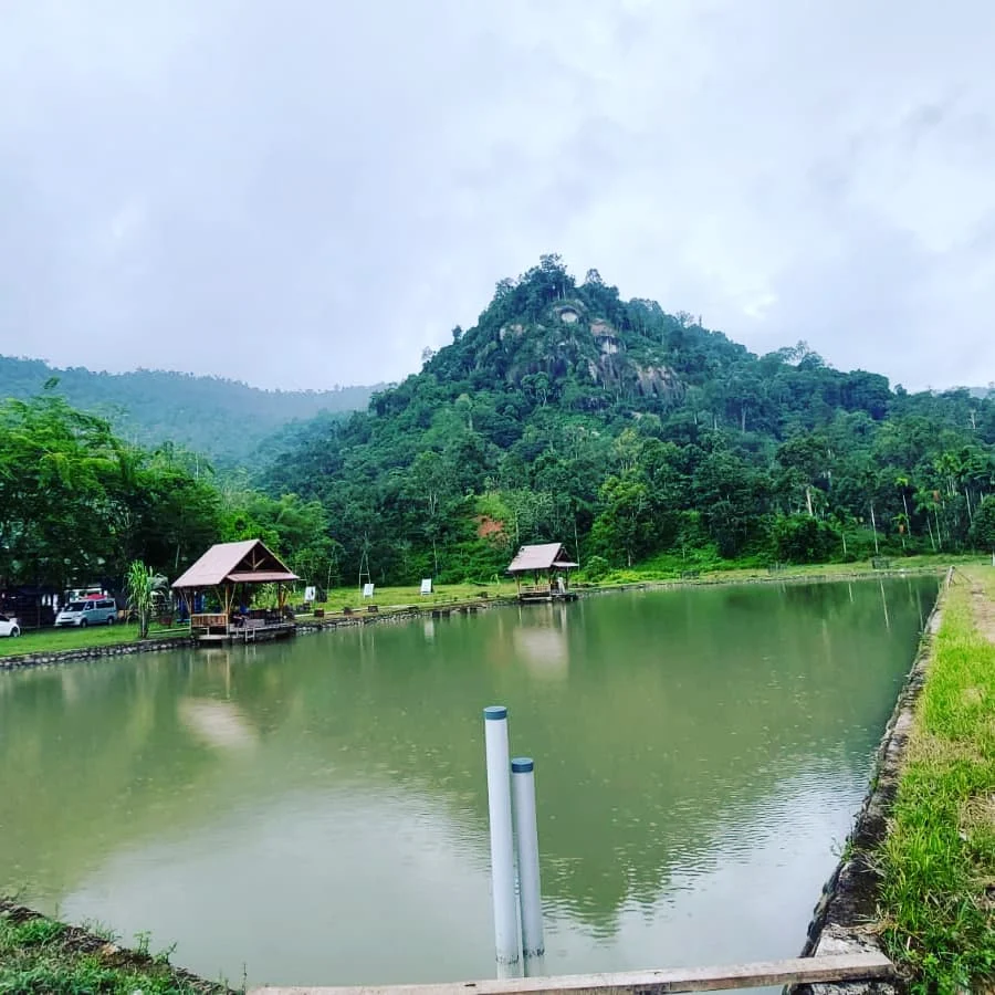 Kolam Pancing Keluarga (Padang Strike Fishing) - 2