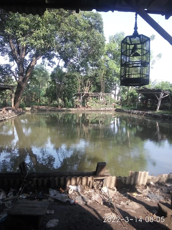 Kolam Pancing Mbah Surip