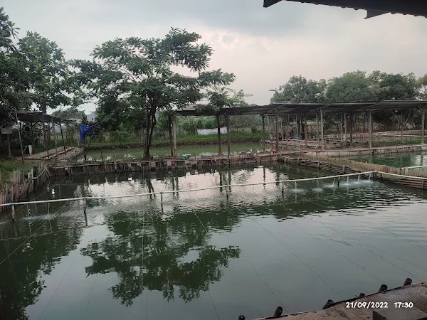 PEMANCINGAN MF MADOK FISHING