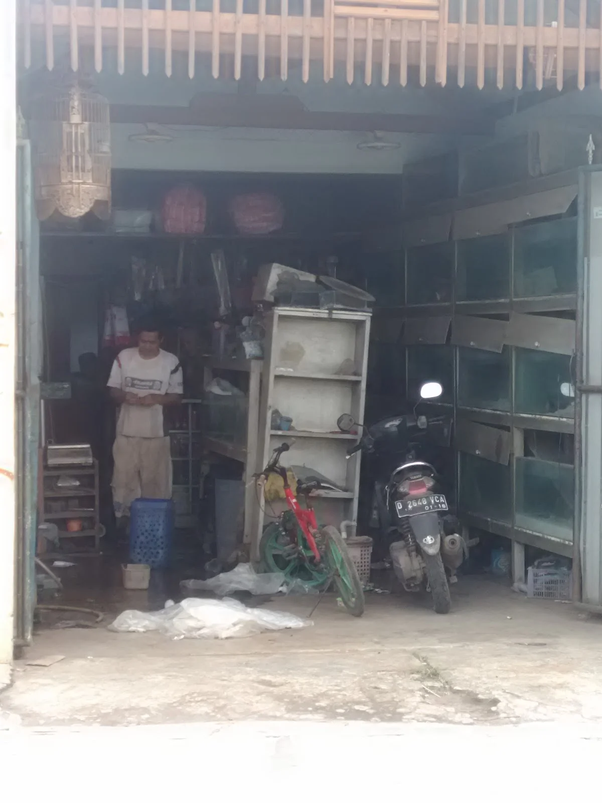 Permata Ikan - 2