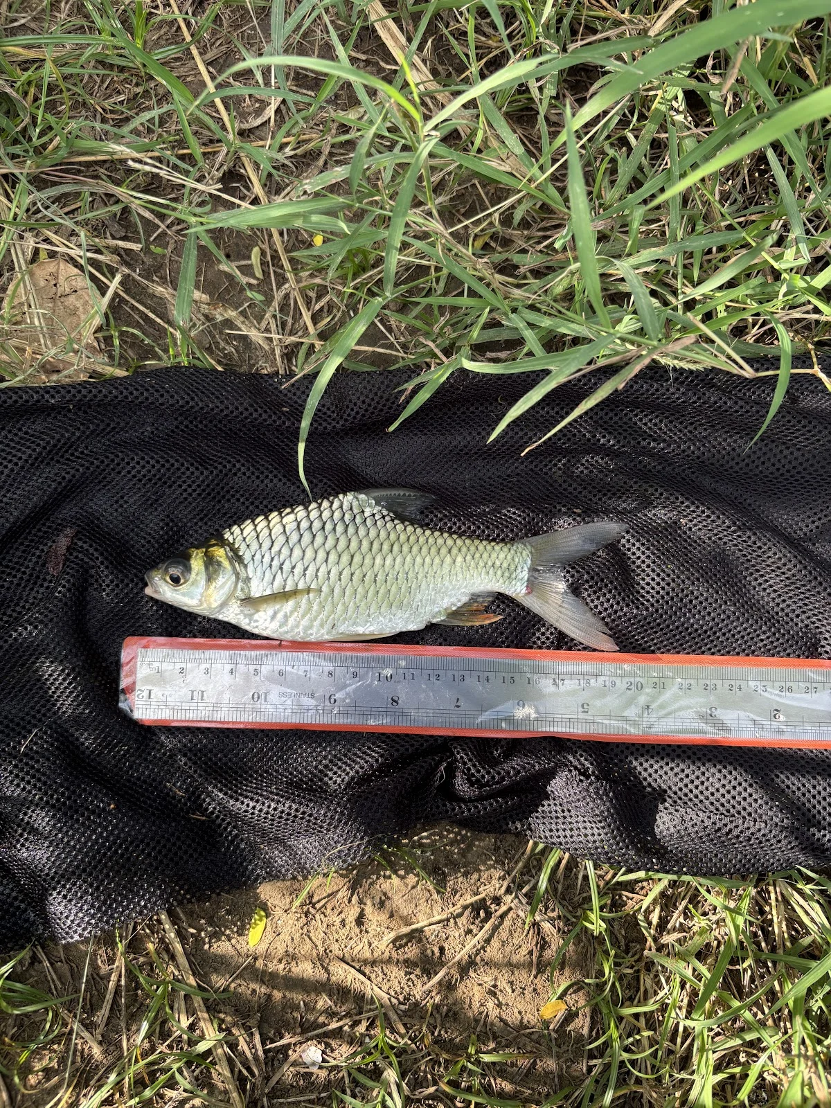 Toko Alat Pancing dan Aksesoris WIN FISHING - 7