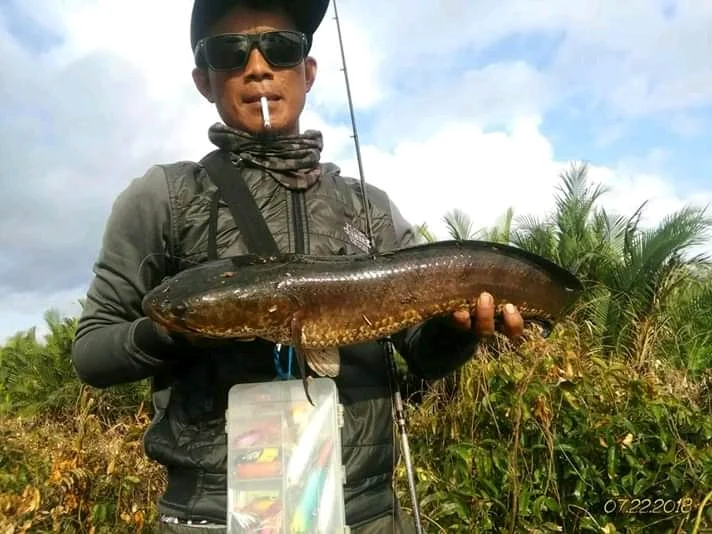 Toko pancing Al Fishing - 3