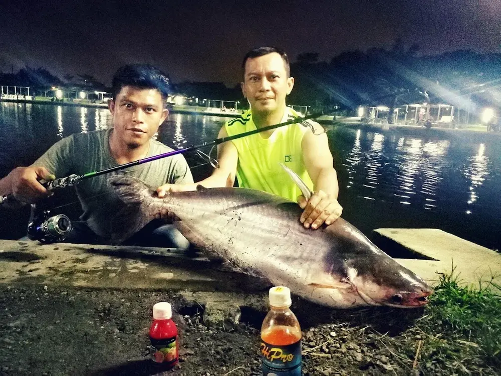Toko Pancing HiPro Fishing - 4