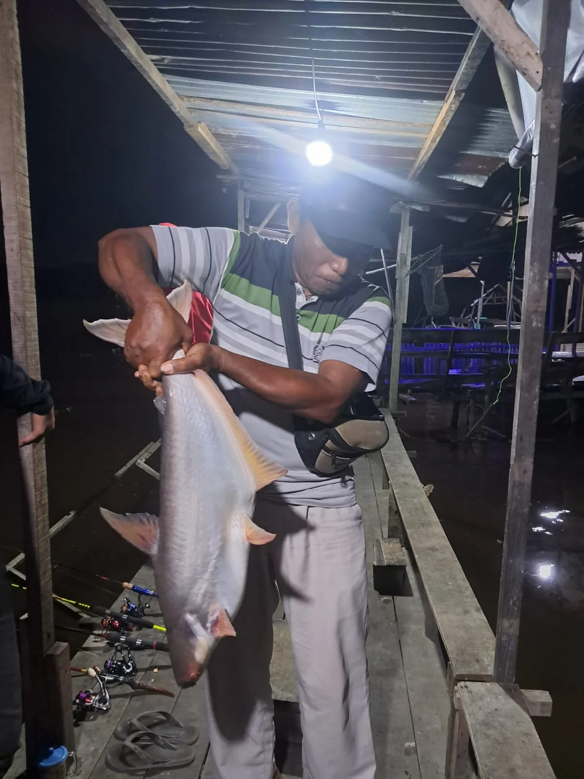 Toko pancing tang siak - 5