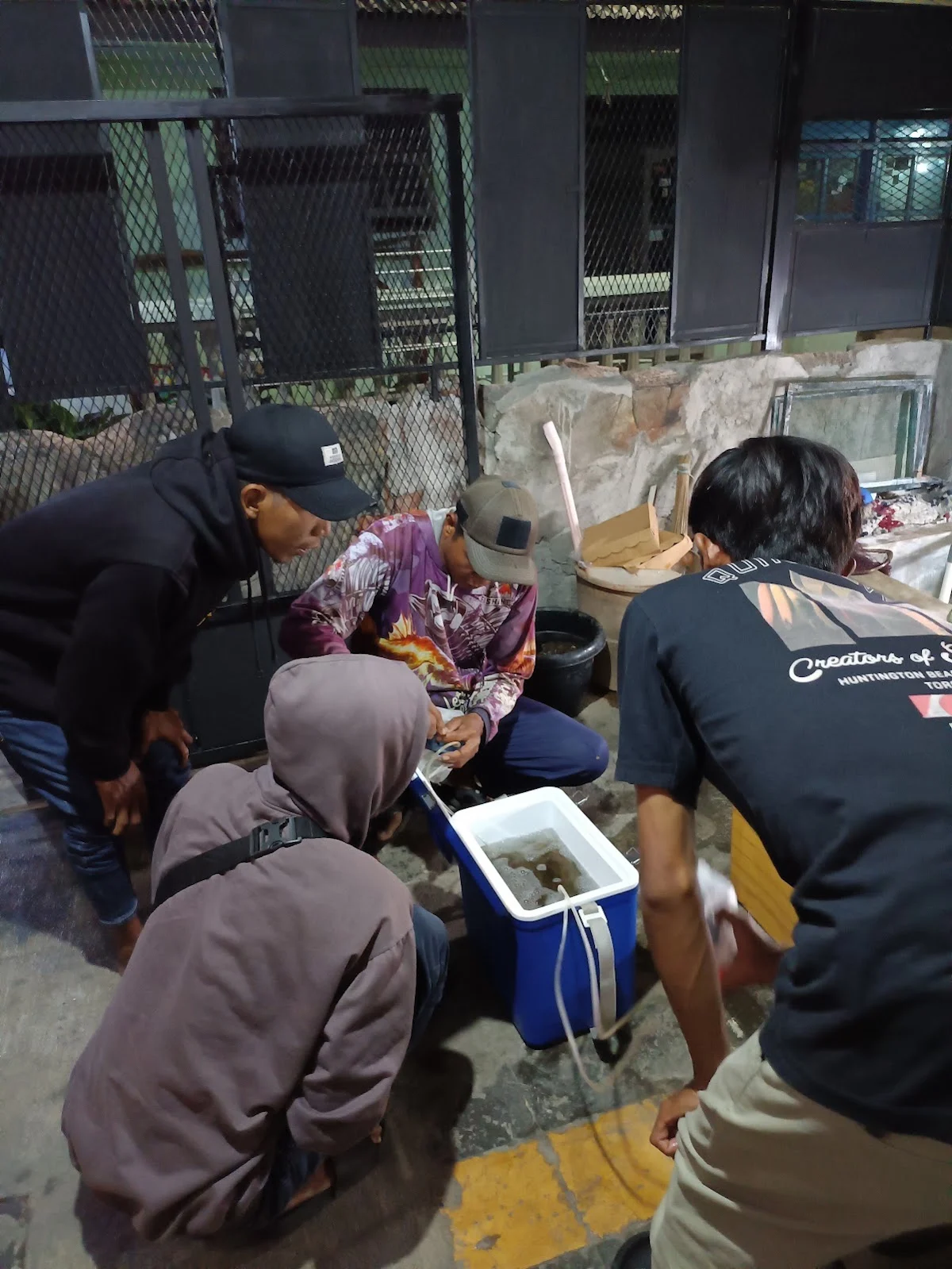 Udang Pancing - 2
