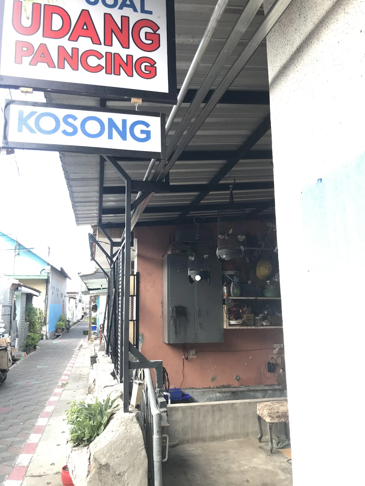 Udang Pancing